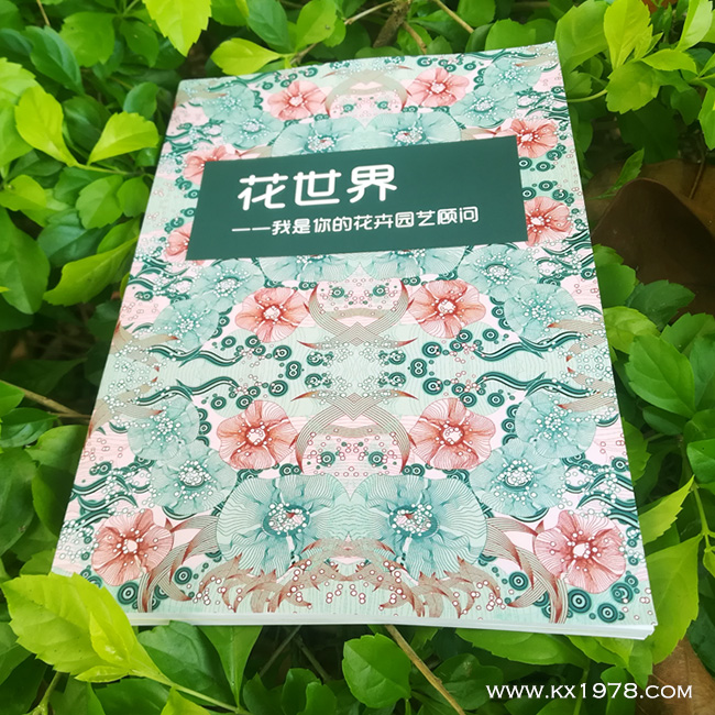 《花世界，我是你的花卉園藝顧問》——個人品牌故事畫冊案例